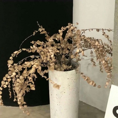 汉台福瑞交流群